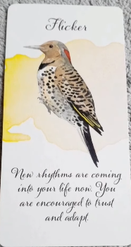Divine Feather Messenger